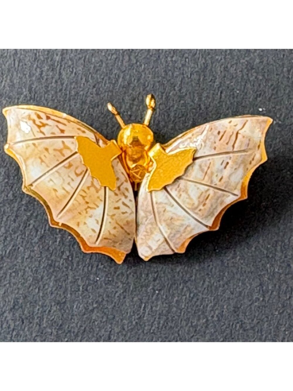 Gold Tone & Cream Butterfly Brooch Pin With Textured Wings 2 Inches Wide Vintage